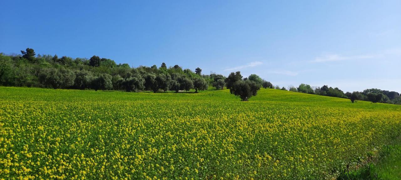 Appartamento In Contesto Esclusivo In Pieno Centro Camerano Luaran gambar