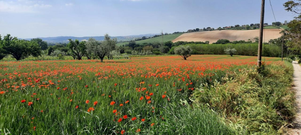 Appartamento In Contesto Esclusivo In Pieno Centro Camerano Luaran gambar