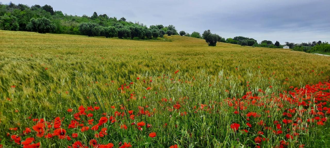 Appartamento In Contesto Esclusivo In Pieno Centro Camerano Luaran gambar